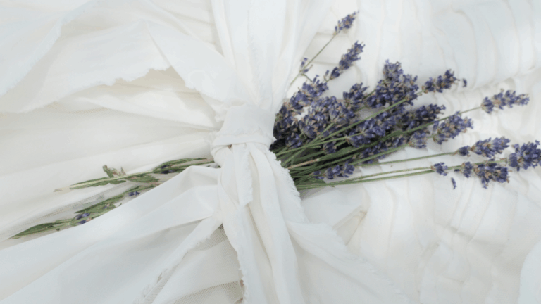 Our Little Storiesへようこそ