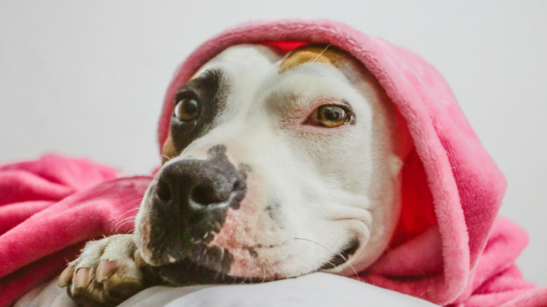 急な寒さで肩がガチガチ？外出前にできる“やさしい肩こり予防”