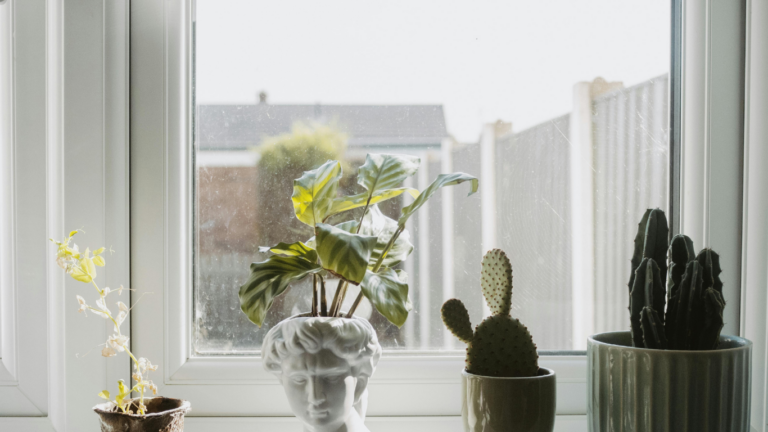 悪いことを想像してしまう夜に、気持ちを少し楽にする考え方