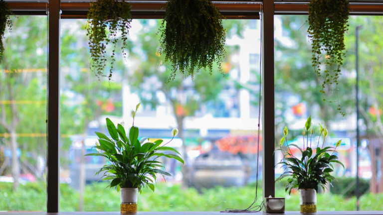 訂正したいときに使いたい魔法のひと言｜「ごめんなさい」が関係を守る理由